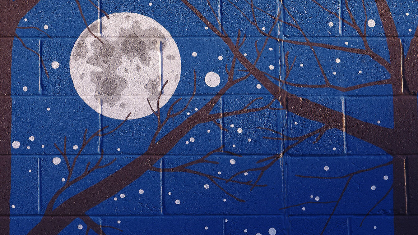 Moon, Stars, Trees, Doug Stanley