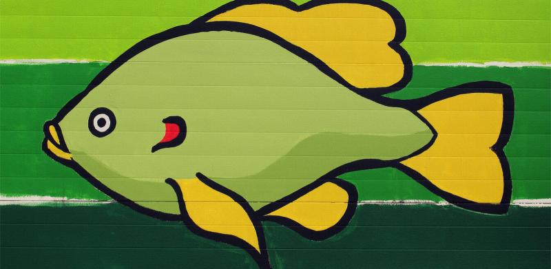 Redear Sunfish, Marc Anderson, Indy Do Day, Indianapolis, IN